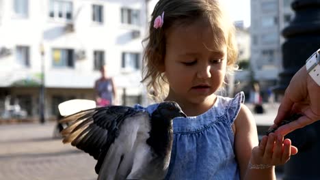 Kleine-süße-Mädchen-im-Park-am-Sommer-Tag-4K-Slow-Motion-Straße-Tauben-füttern