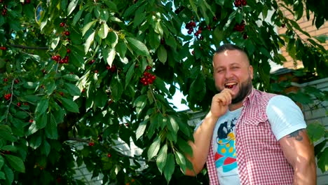 Portrait-of-happy-young-guy-tears-a-cherry-from-tree-and-eat-it-in-the-garden