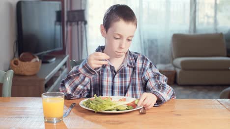 Child-nutrition---boy-eating-healthy-food