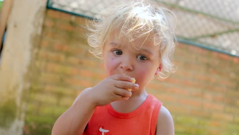 Porträt-von-niedlichen-Kind-gesund-Orangenfrucht-im-Sonnenlicht-im-Freien-zu-essen.-Blonde-Jungen-essen-Bio-in-4K