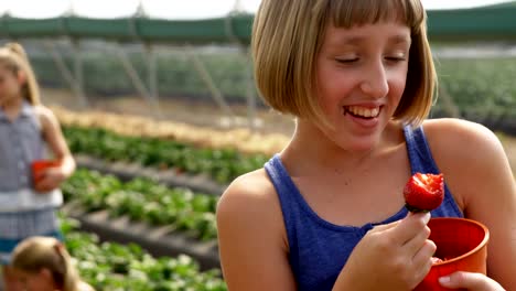 Girl-eating-strawberry-in-the-farm-4k