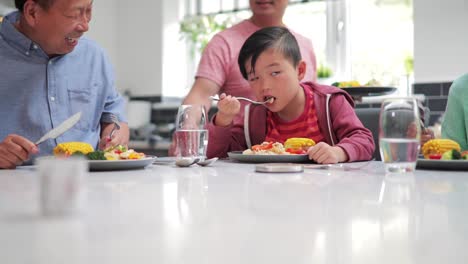 Little-boy-Enjoying-his-Stir-Fry-Dinner