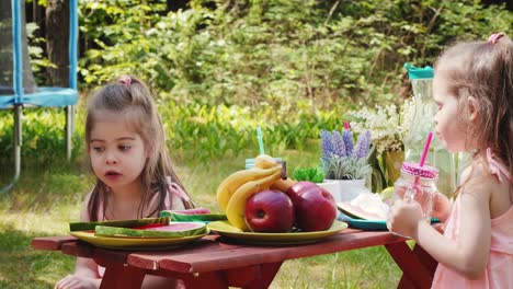 zwei-kleine-Mädchen-trinken-Limonade-bei-einem-Sommerpicknick