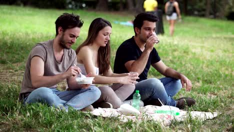 Freunde-Essen-und-reden-haben-Picknick-im-Park-im-Sommer