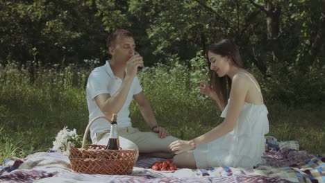 Relaxed-couple-drinking-champagne-on-picnic