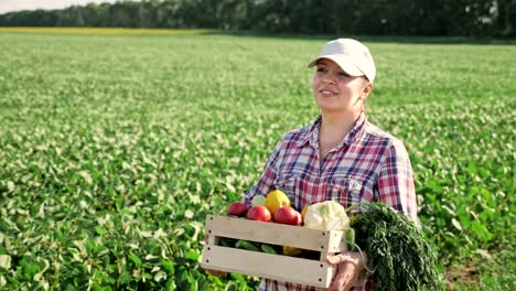 Landwirt-mit-frischem-Gemüse-in-einer-Holzkiste