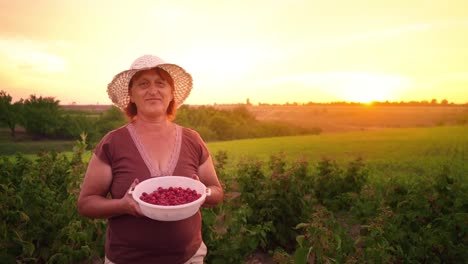 Porträt-einer-Frau-in-weißen-Hosen,-einem-braunen-T-shirt-und-einen-weißen-Hut-mit-einer-Schüssel-Himbeeren-auf-dem-Sonnenuntergang-Hintergrund,-ein-Himbeer-picker