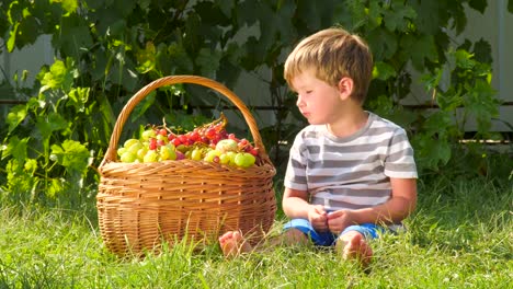 Obstgarten