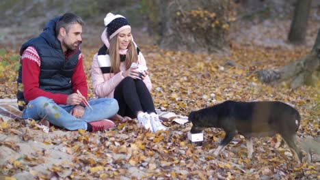 A-young-couple-on-the-beach-feeds-the-dog-with-Chinese-food.-The-sand.-Yellow-leaves.-Autumn-4K-Slow-Mo