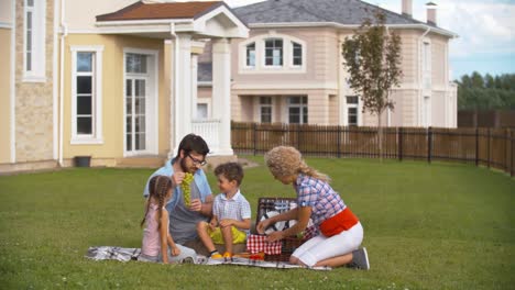 Backyard-Picnic