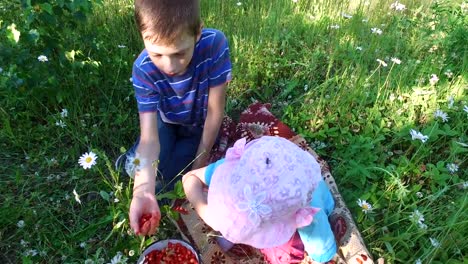 Teen-Boy-und-Girl-Kind-isst-wilde-Erdbeeren-auf-der-Wiese.