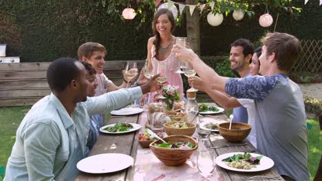 Friends-Making-A-Toast-At-Outdoor-Backyard-Party-Shot-On-R3D