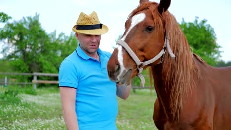 The-man-in-hat-feed-a-brown-horse-with-flowers-on-the-meadow