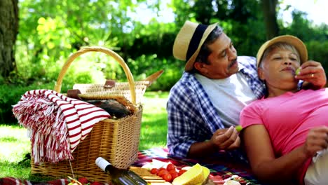 Senior-pareja-alimentación-uvas-cada-uno-al-otro