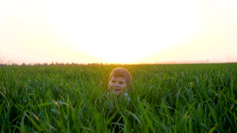 niño-se-esconde-en-la-hierba,-niño-pequeño-come-pan-en-campo-verde,-chico-lindo-con-panadería-en-manos-sobre-la-naturaleza-de-la-luz-del-sol