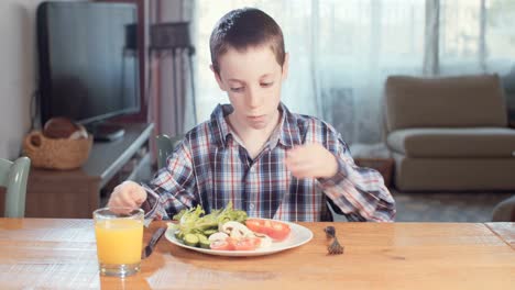 Child-nutrition---boy-eating-healthy-food