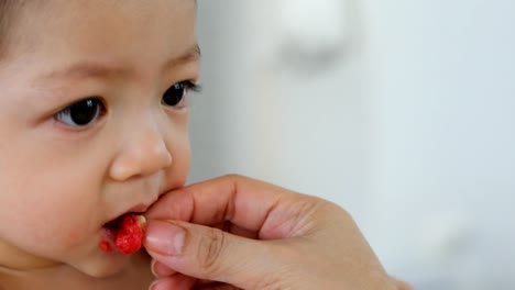 niño-comer-alimentos