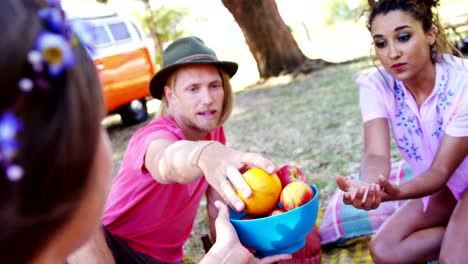 Freunde,-die-Früchte-beim-Musikfestival-4k