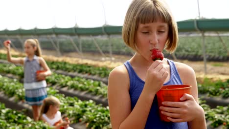 Mädchen,-Essen-Erdbeeren-in-der-Farm-4k