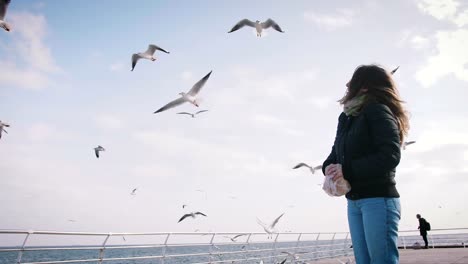 Young-woman-feeding-seagulls-at-winter-near-the-sea,-slow-motion