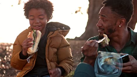 Junger-Vater-und-Sohn-Spaß-beim-Mittagessen-in-der-Natur