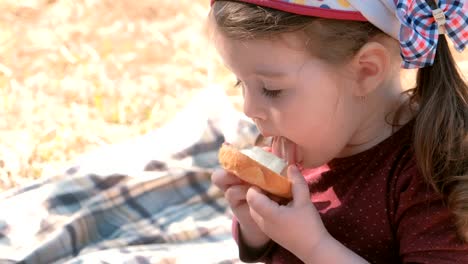 Kleine-süße-Mädchen-isst-Sandwich-mit-Brot-und-Käse-verarbeitet.-Familien-Picknick.-Ihre-schmutzigen-Finger-leckt.