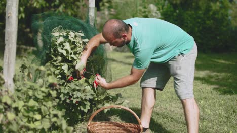 HOME-GARDEN