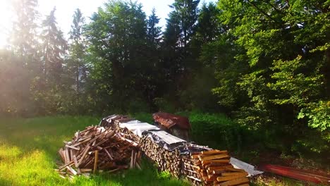 A-stack-of-firewood-in-the-alpine-forest.-Camera-flight-over-renewable-energy-source.