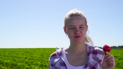 Young-girl-eating-red-fresh-strawberry-at-the-field