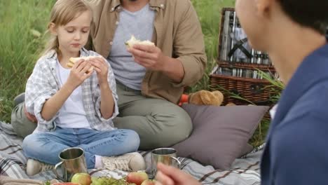 Los-padres-y-el-niño-tener-Picnic