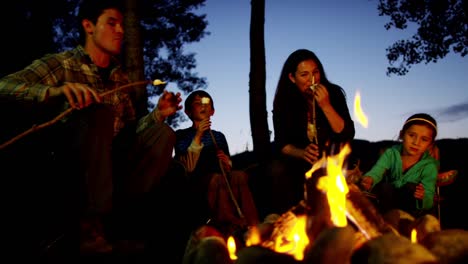 American-Caucasian-parent-and-children-toasting-smores-outdoors