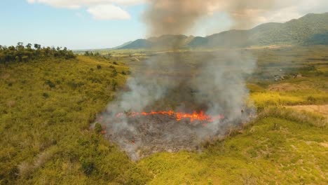 fuego-en-un-bosque-tropical