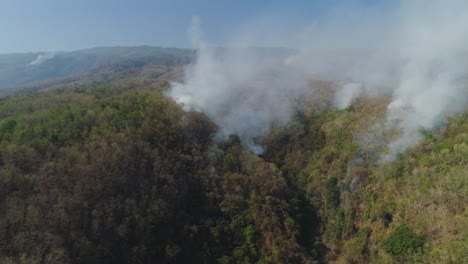 forest-fire-in-the-mountains