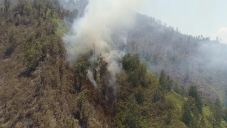 forest-fire-in-the-mountains