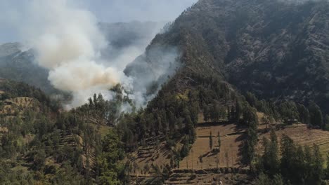 forest-fire-in-the-mountains