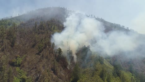 forest-fire-in-the-mountains