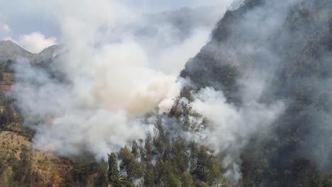 forest-fire-in-the-mountains