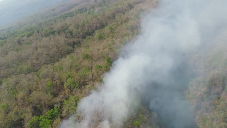 Waldbrand-in-den-Bergen