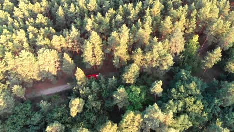 Top-view-from-the-drone-to-the-Red-Fire-Truck-Driving-along-the-Road-in-a-Pine-Forest