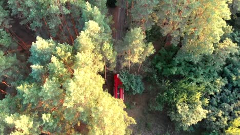 Vista-superior-de-los-aviones-no-tripulados-para-la-conducción-de-carro-rojo-fuego-a-lo-largo-de-la-carretera-en-un-bosque-de-pinos