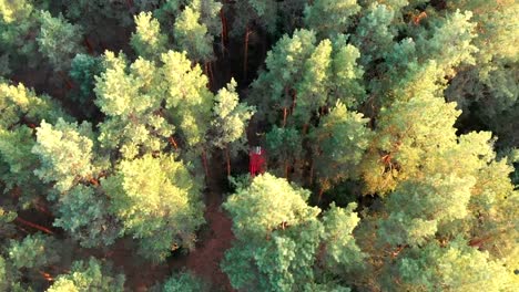 Draufsicht-von-der-Drohne,-die-Red-Fire-Truck-fahren-entlang-der-Straße-in-einem-Kiefernwald