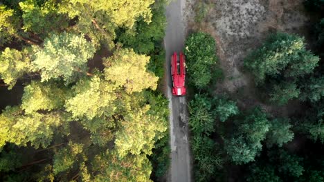 Vista-superior-de-los-aviones-no-tripulados-a-rojo-fuego-carro-conducir-por-la-carretera-en-un-bosque-de-pinos