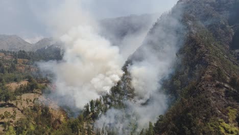 forest-fire-in-the-mountains