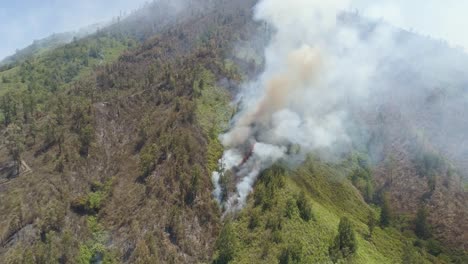 forest-fire-in-the-mountains