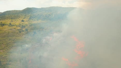 Feuer-in-einem-tropischen-Busch