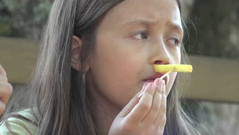 Niño-comiendo-papas-fritas-francesa