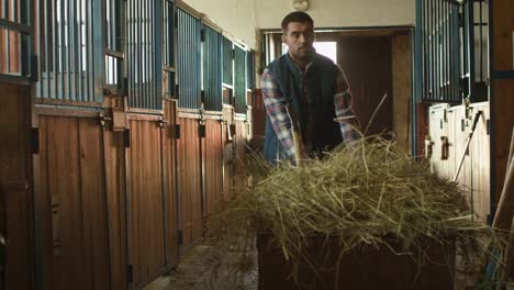 Man-is-rolling-a-cart-with-hay-into-a-stable-in-order-to-feed-horses.