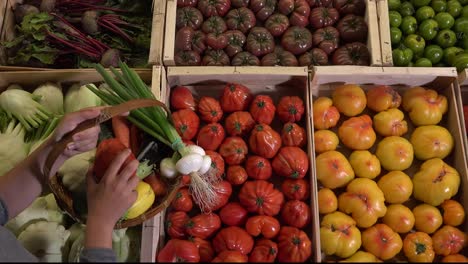 Vegetables-For-Sale-At-Supermarket.