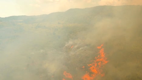 Luftbild-Waldbrand.-Busuanga,-Palawan,-Philippinen