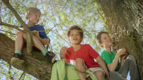 Three-little-boys-are-sitting-on-a-tree-eating-an-apple